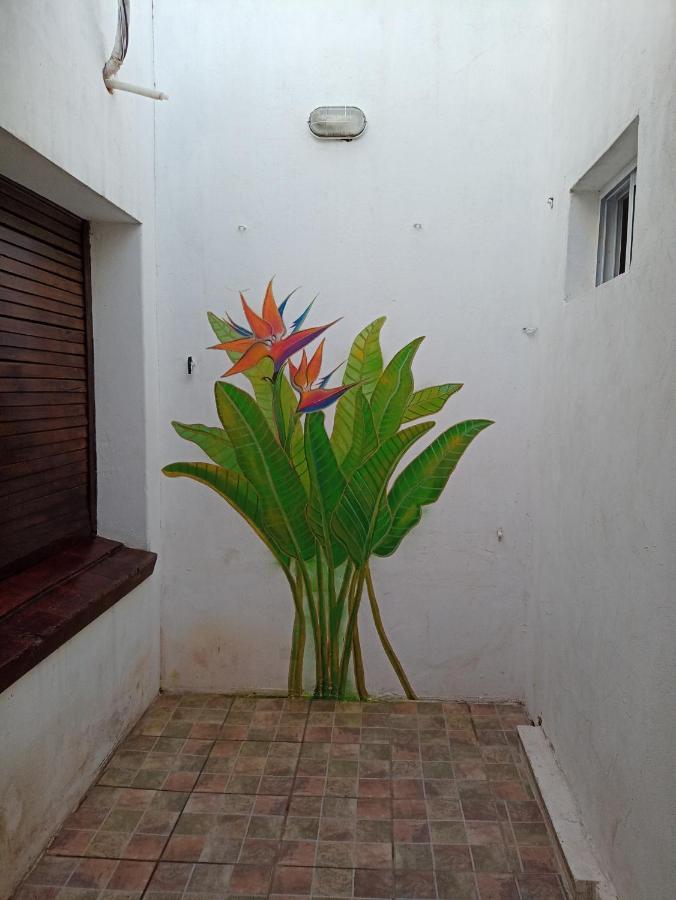 Apartment Filipo Departamento *